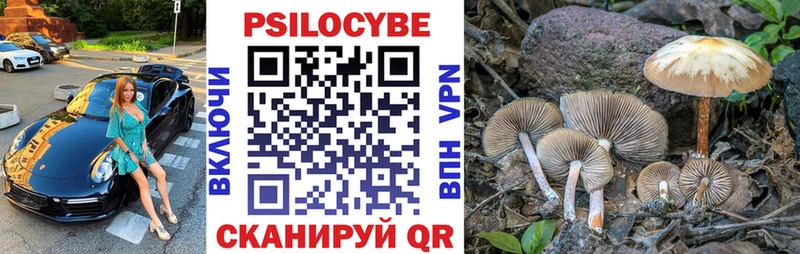 Псилоцибиновые грибы прущие грибы  закладки  Среднеколымск 